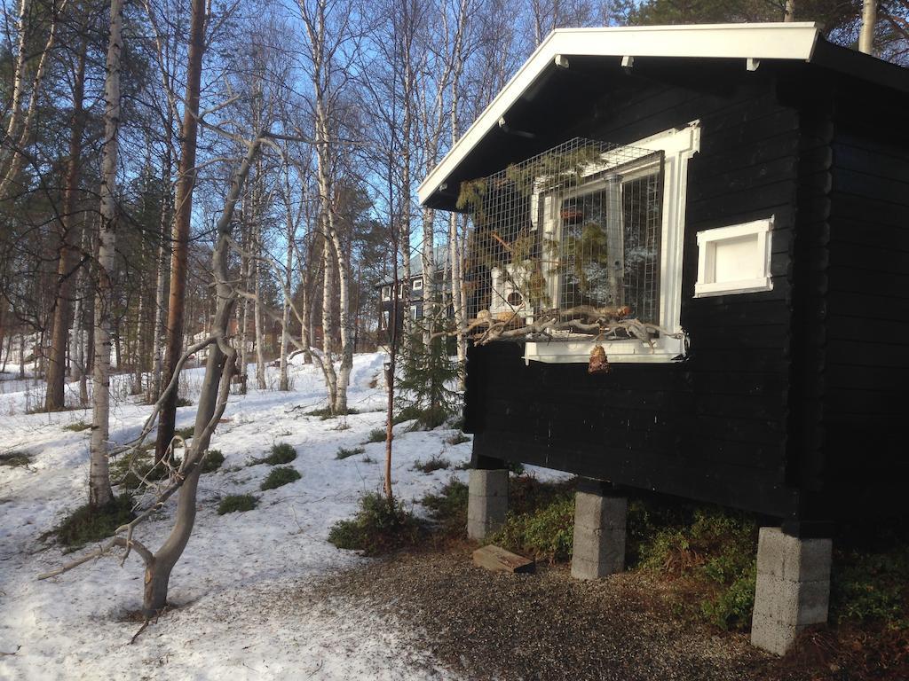SvanvikBirk Bed & Birds住宿加早餐旅馆 外观 照片