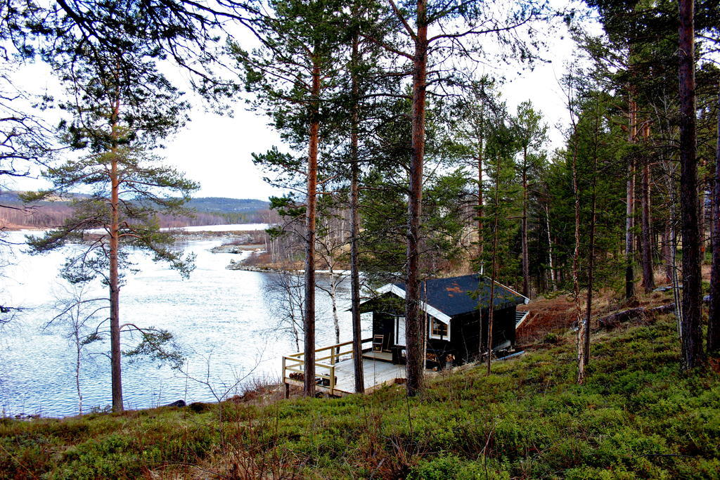 SvanvikBirk Bed & Birds住宿加早餐旅馆 外观 照片