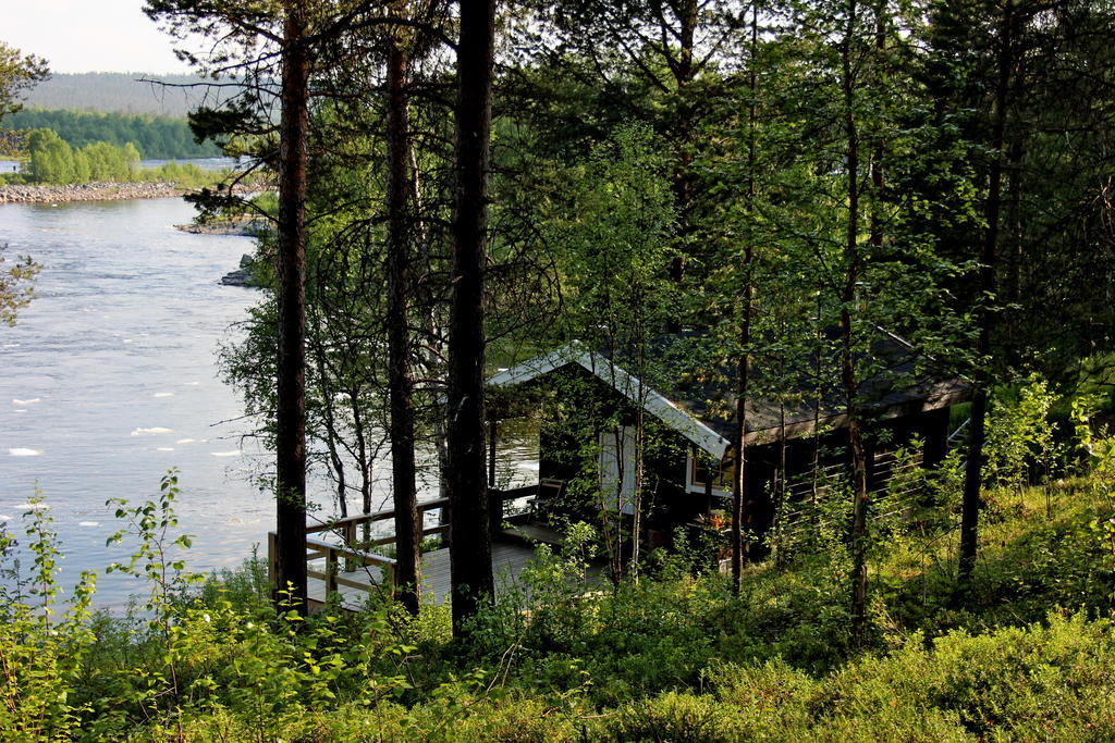 SvanvikBirk Bed & Birds住宿加早餐旅馆 外观 照片